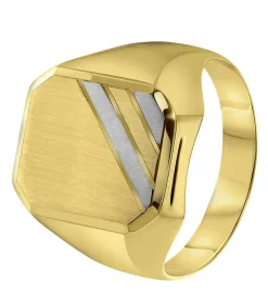 14 Karaat 2-tone zegelring zeskant