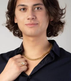 14 Karaat 2-tone zegelring zeskant