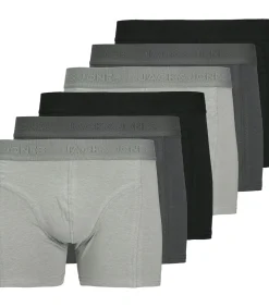 6 pack Ordinary - retro short / pant