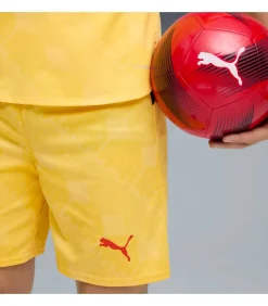 Acm Shorts Replica