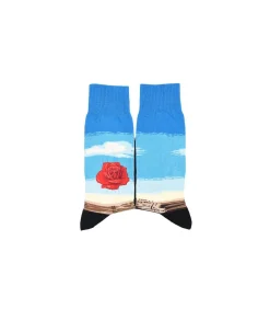 Art sox meditative rose