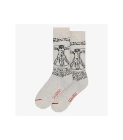 Art sox the vitruvian man