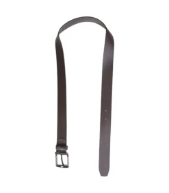 Bruin Riem