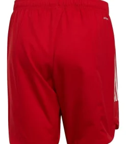 CONDIVO 20 - Korte Broek - Rood
