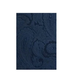 Das zijde blauw paisley