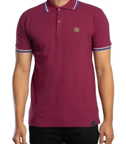 Driekleurig Piqué Poloshirt Met Punt