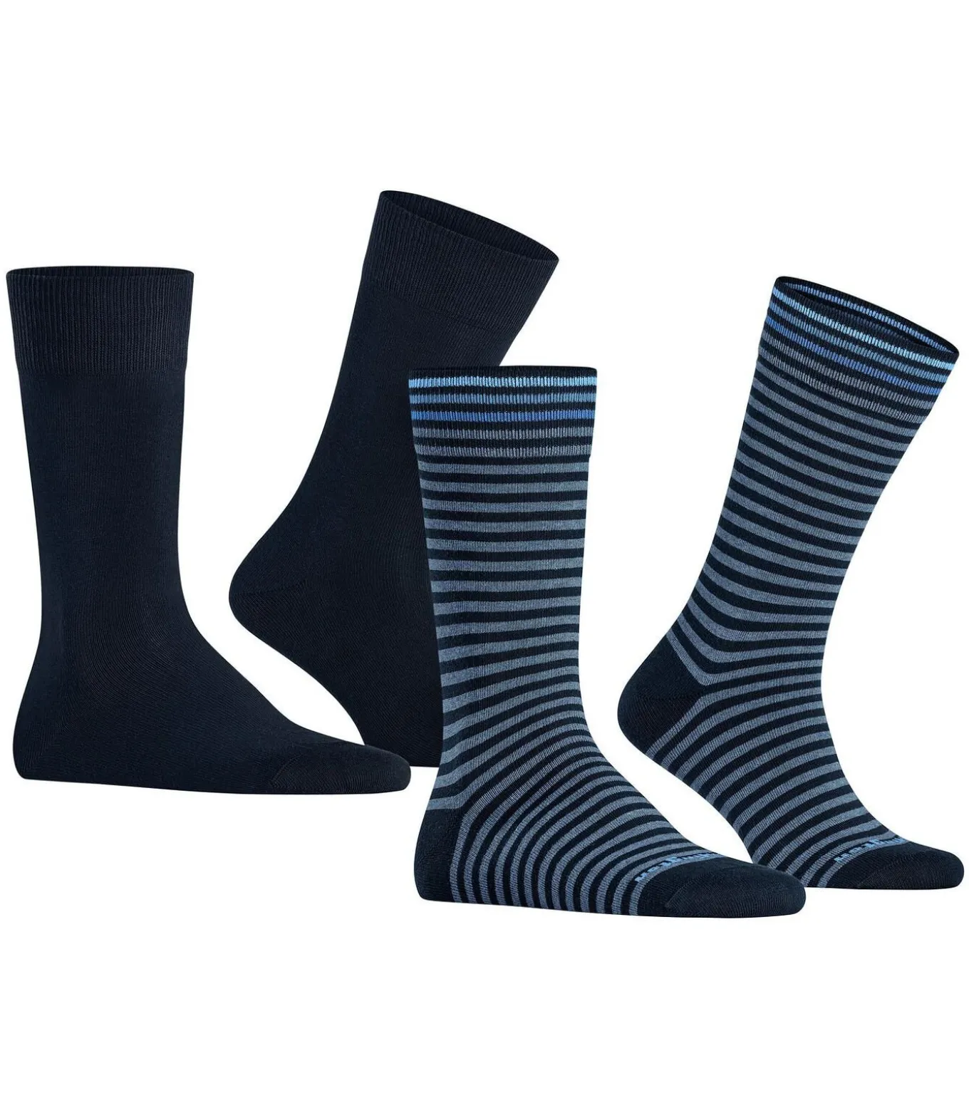 Everyday 2-Pack Strepen Navy
