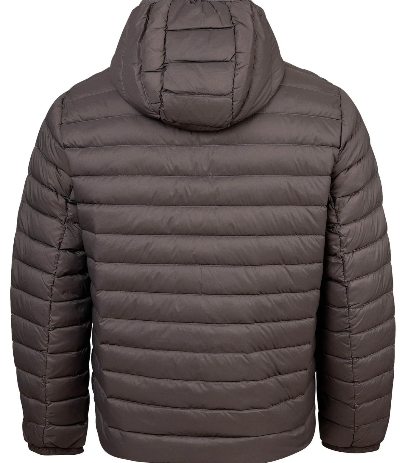 Gewatteerd jack Down Jacket