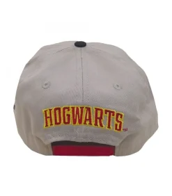 GRYFFINDOR - Kap - Anthraciet Grijs