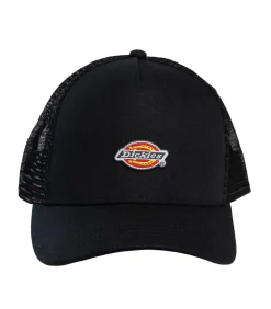 Hanston Trucker Pet