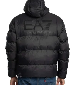 Mountain Polar-Jas