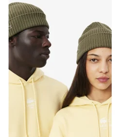 Muts core - olive