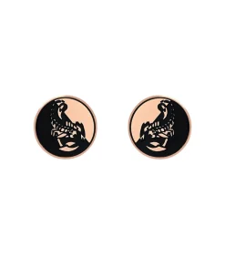 Oorbellen voor mannen en vrouwen, unisex, roestvrij staal | schorpioen