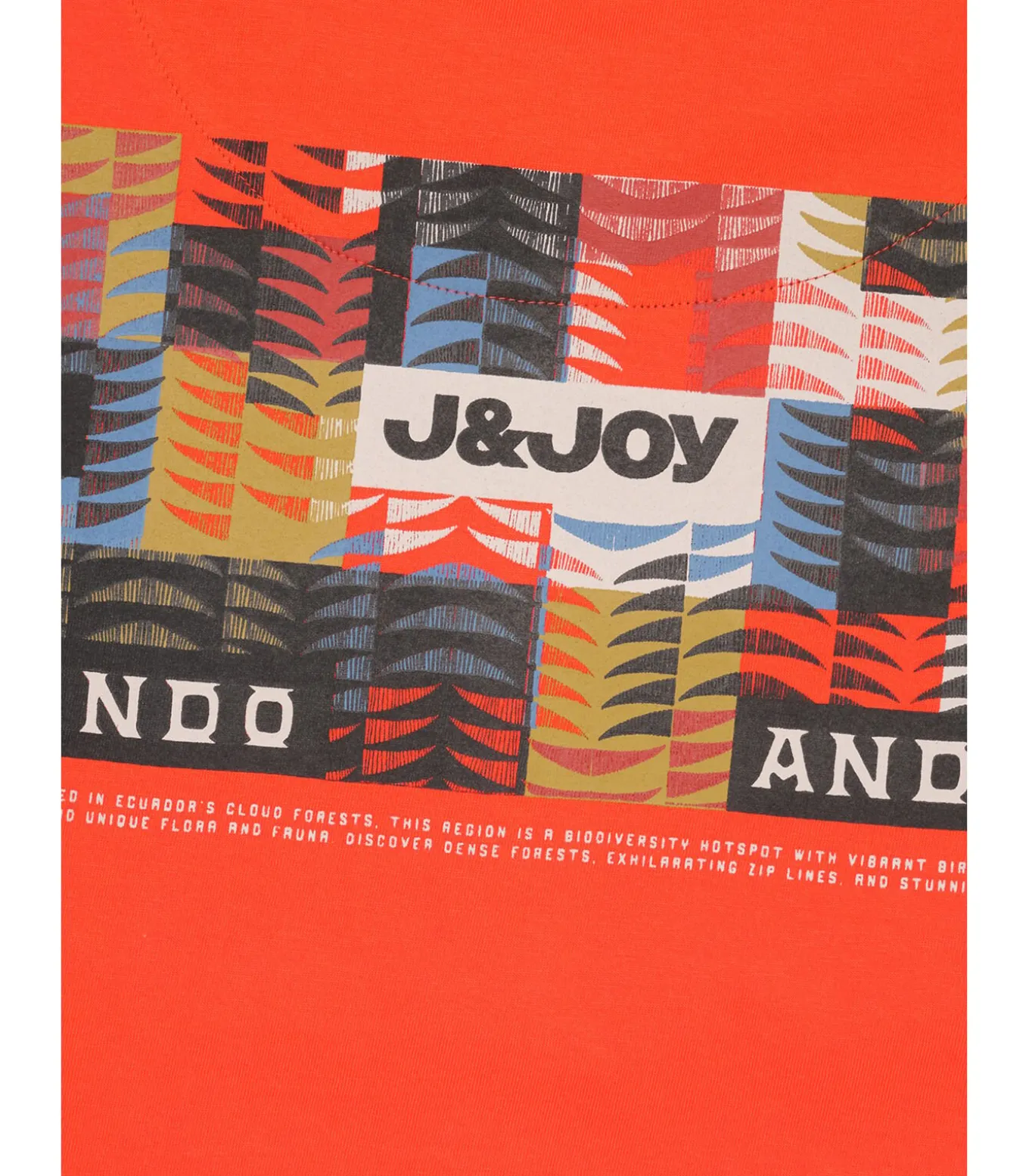 Oranje heren t-shirt met opdruk op de rug