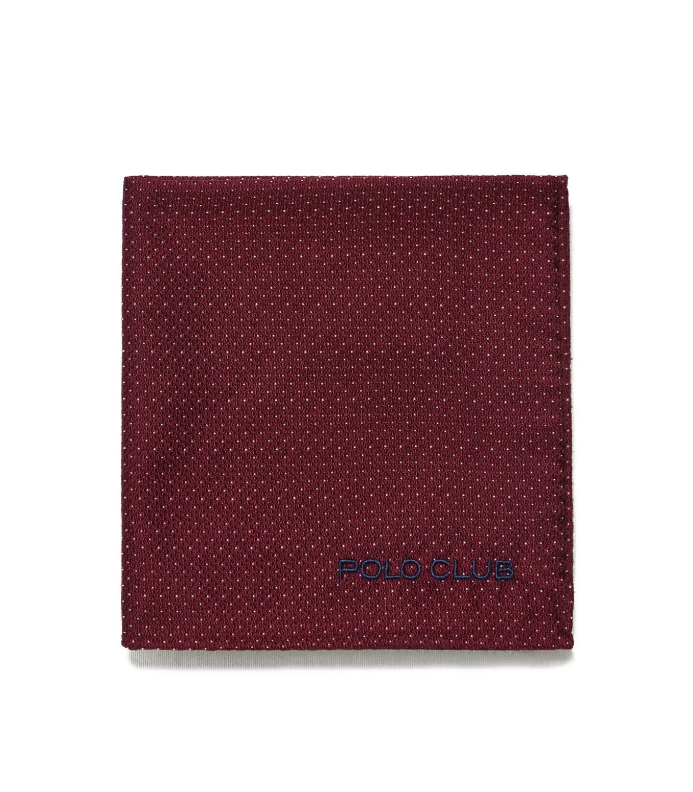 Pack met zijden stropdas en zakdoek met geborduurd Polo Club-detail