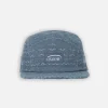 5-Panel AOP DAG