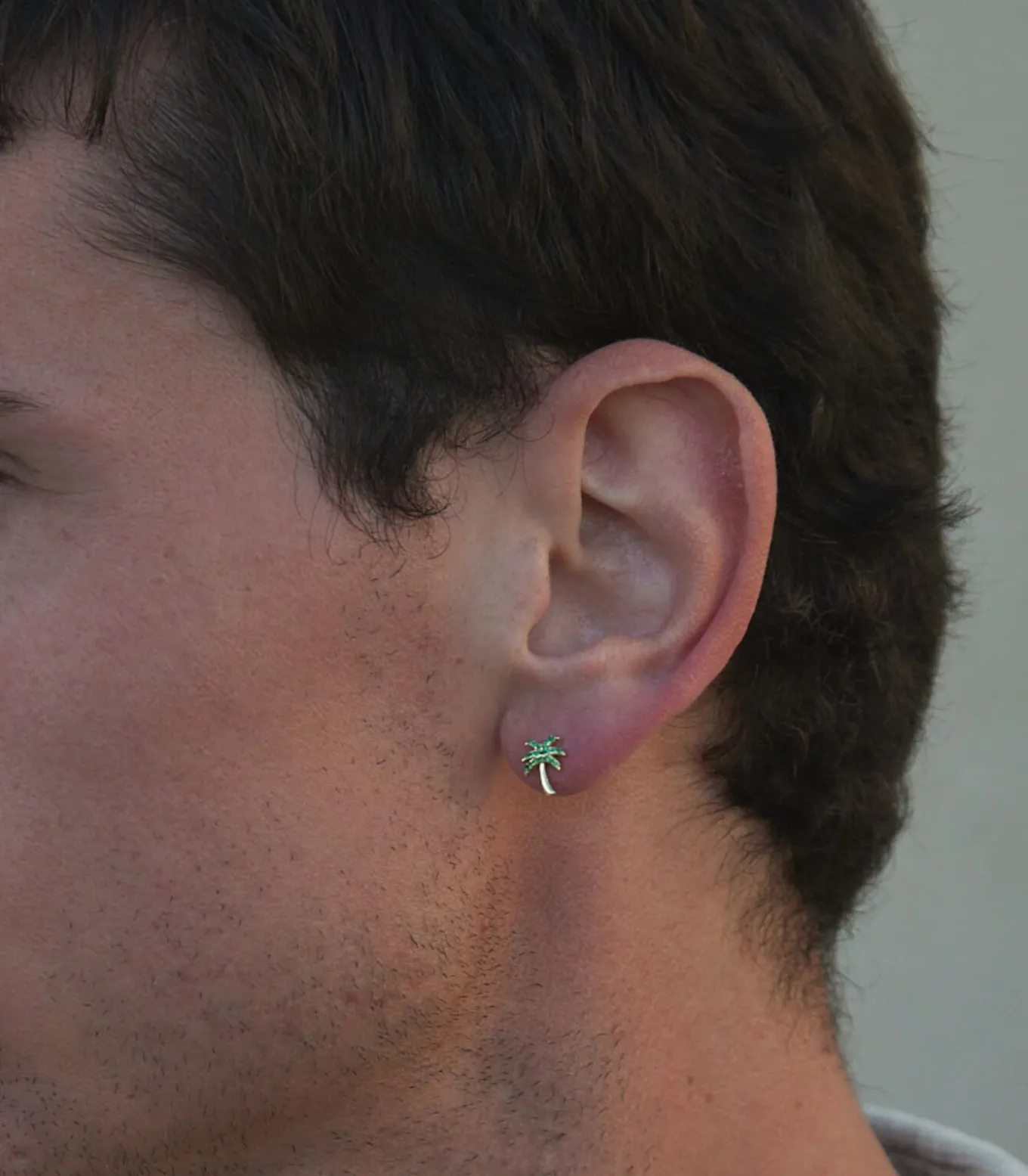PIERCING PALMIER