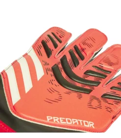 Pred Gl Pro
