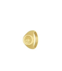 Ring Staal - goudkleurig