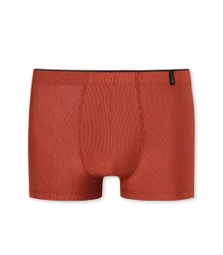 Short Terracotta