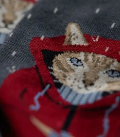Sokken Raining Cat