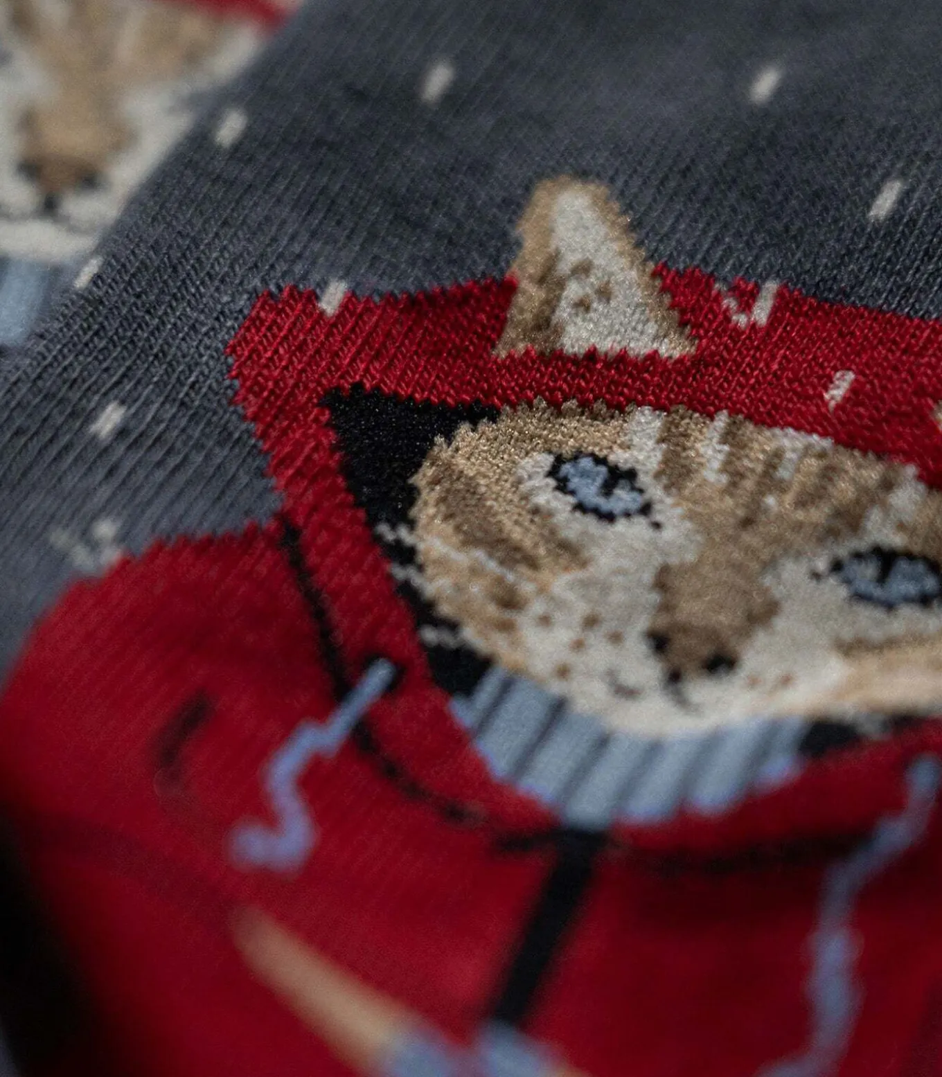 Sokken Raining Cat