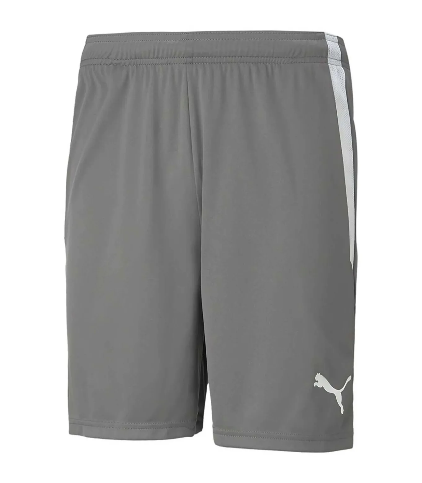 Teamliga Shorts