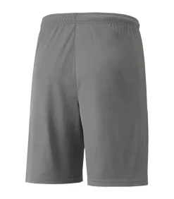 Teamliga Shorts