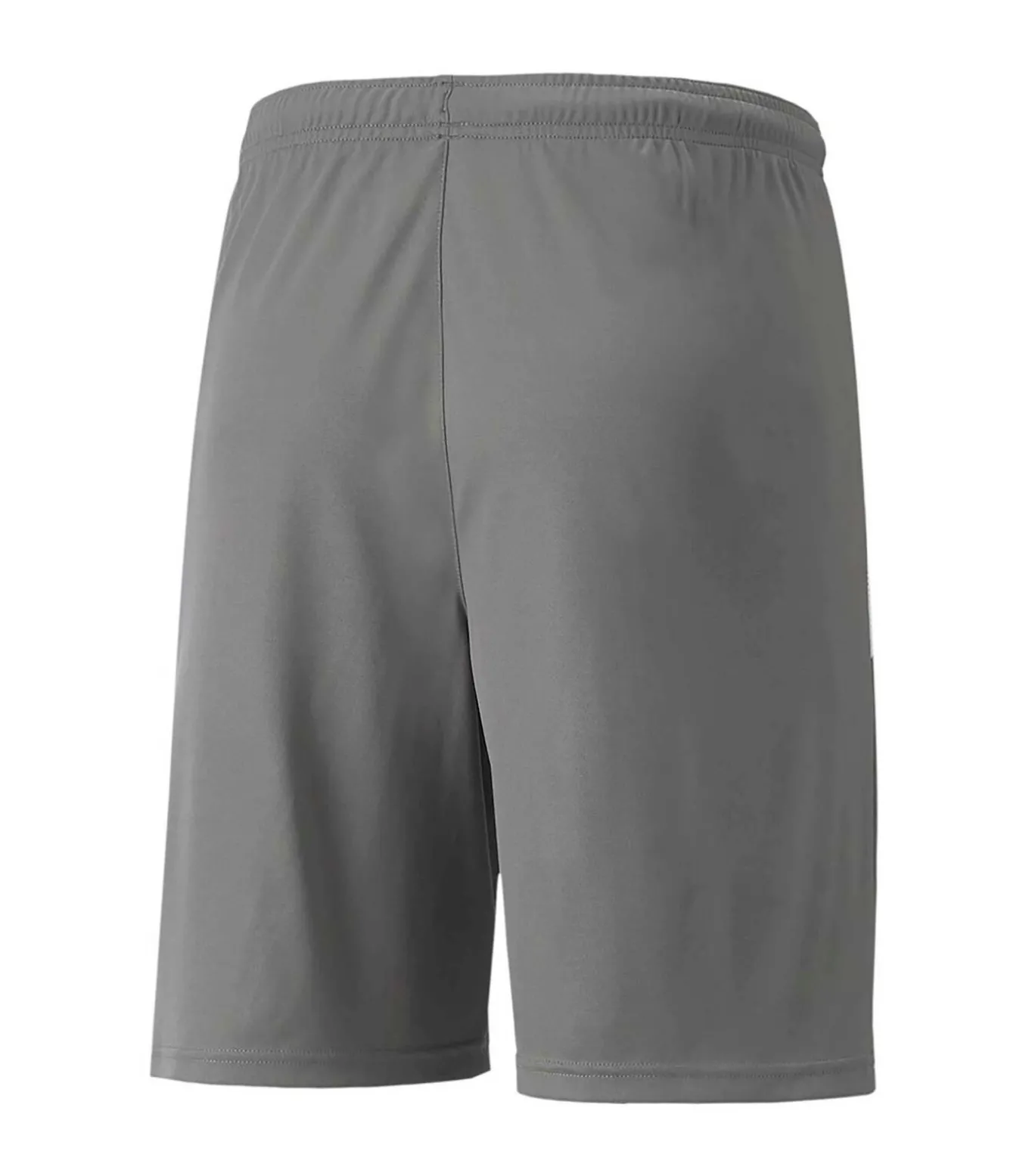 Teamliga Shorts