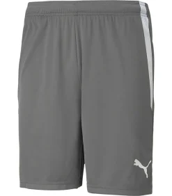Teamliga Shorts