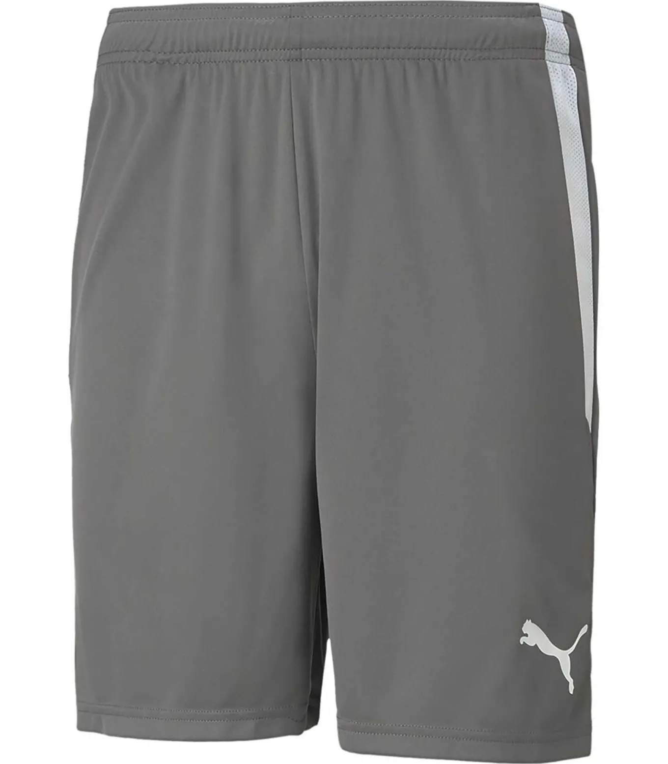 Teamliga Shorts