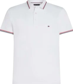 Tipped Slim Fit Polo
